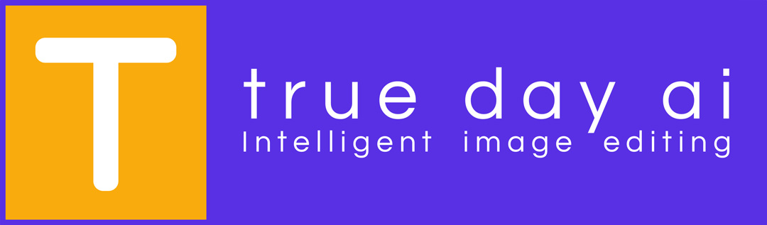 True Day AI Logo
